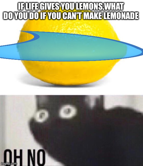 Put in the comment section | IF LIFE GIVES YOU LEMONS,WHAT DO YOU DO IF YOU CAN’T MAKE LEMONADE | image tagged in when life gives you lemons x,oh no cat,hmmm,when lif gives you lemons | made w/ Imgflip meme maker