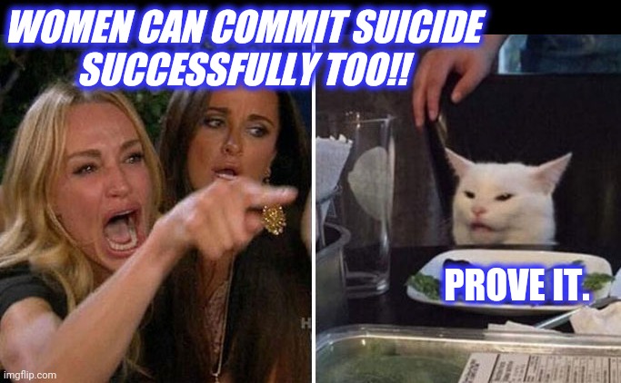 Angry lady cat | WOMEN CAN COMMIT SUICIDE
SUCCESSFULLY TOO!! PROVE IT. | image tagged in angry lady cat | made w/ Imgflip meme maker