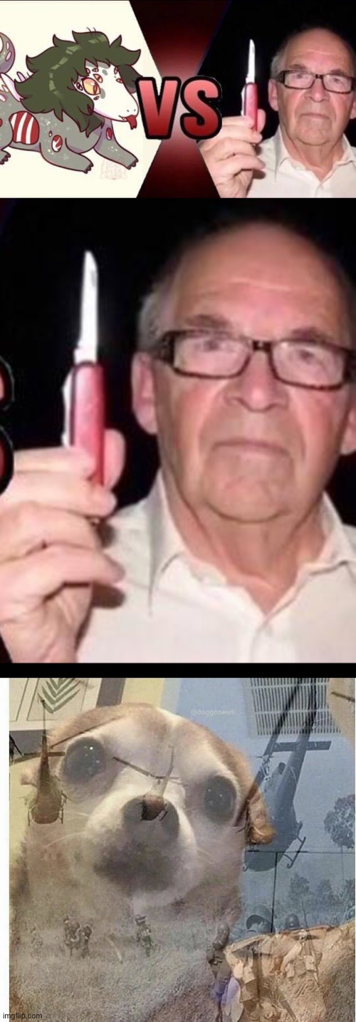 Oh no… not the [redacted] | image tagged in ptsd chihuahua | made w/ Imgflip meme maker