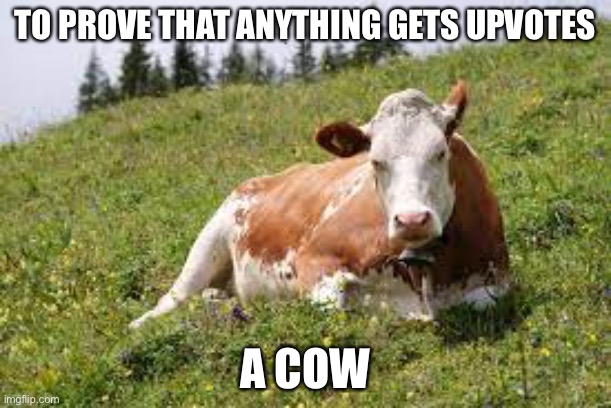 TO PROVE THAT ANYTHING GETS UPVOTES; A COW | made w/ Imgflip meme maker