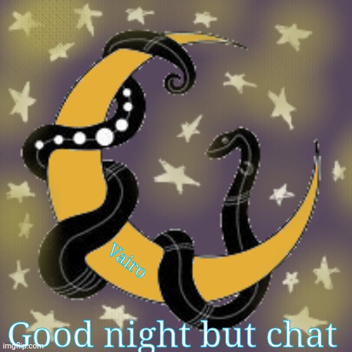 Good night ^•^ | Vairo; Good night but chat | image tagged in gn snek | made w/ Imgflip meme maker