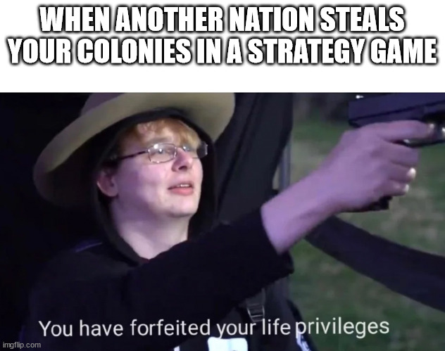 you have forfeited life privileges | WHEN ANOTHER NATION STEALS YOUR COLONIES IN A STRATEGY GAME | image tagged in you have forfeited life privileges | made w/ Imgflip meme maker