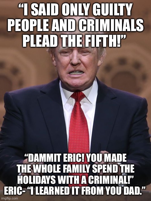 Donald Trump | “I SAID ONLY GUILTY PEOPLE AND CRIMINALS PLEAD THE FIFTH!”; “DAMMIT ERIC! YOU MADE THE WHOLE FAMILY SPEND THE HOLIDAYS WITH A CRIMINAL!”
ERIC- “I LEARNED IT FROM YOU DAD.” | image tagged in donald trump | made w/ Imgflip meme maker