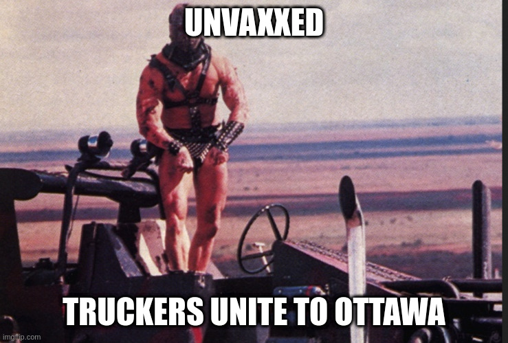 what they see | UNVAXXED; TRUCKERS UNITE TO OTTAWA | image tagged in trucker,covid | made w/ Imgflip meme maker