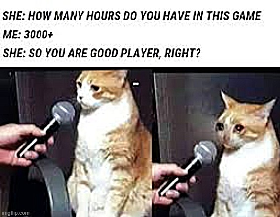 exp | image tagged in gaming | made w/ Imgflip meme maker