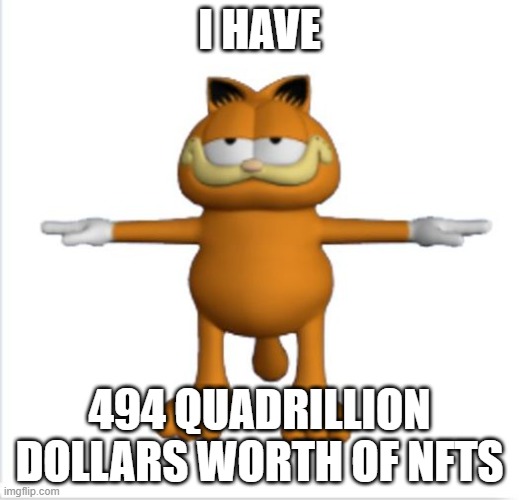 and i got them by screenshotting | I HAVE; 494 QUADRILLION DOLLARS WORTH OF NFTS | image tagged in garfield t-pose | made w/ Imgflip meme maker