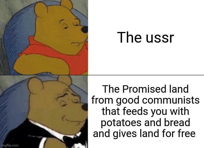 Well.... | The ussr; The Promised land from good communists that feeds you with potatoes and bread and gives land for free | image tagged in memes,tuxedo winnie the pooh | made w/ Imgflip meme maker
