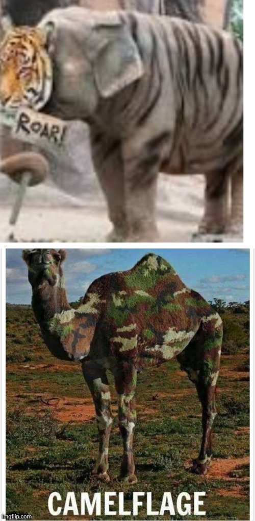 Lol | image tagged in camelflage | made w/ Imgflip meme maker