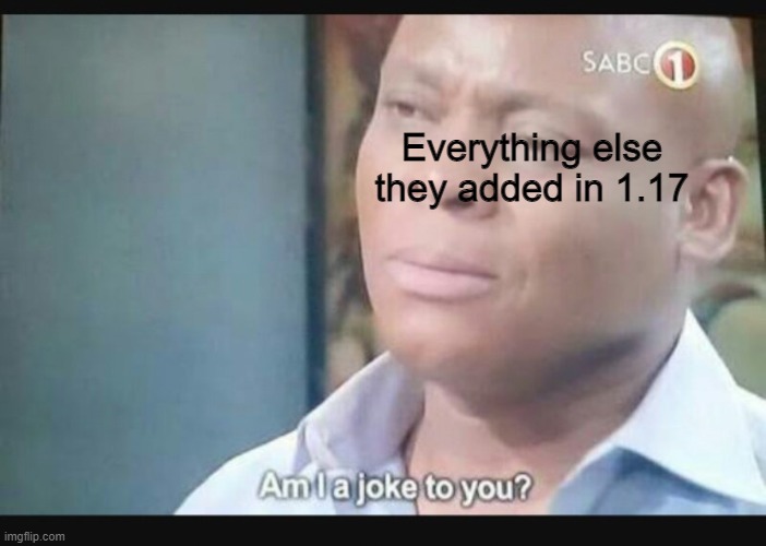 Am I a joke to you? | Everything else they added in 1.17 | image tagged in am i a joke to you | made w/ Imgflip meme maker