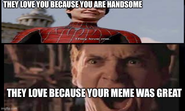 Dx | THEY LOVE YOU BECAUSE YOU ARE HANDSOME; THEY LOVE BECAUSE YOUR MEME WAS GREAT | image tagged in they love you because you are handsome,they love you because your meme was great,funny,memes | made w/ Imgflip meme maker