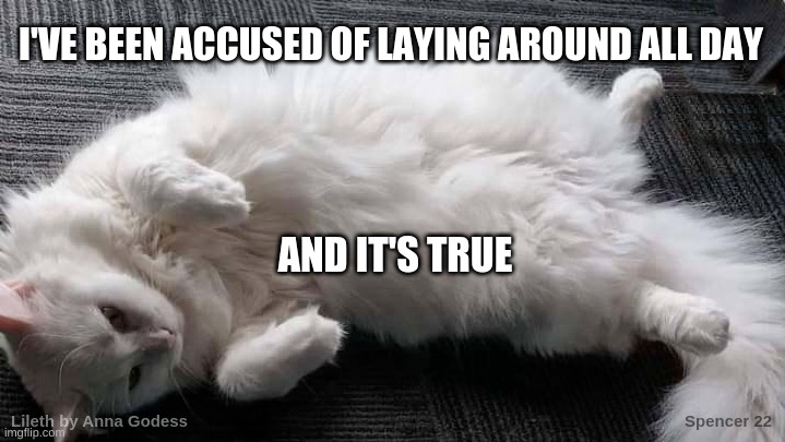 I'VE BEEN ACCUSED OF LAYING AROUND ALL DAY; AND IT'S TRUE | image tagged in kitty,nap time,rest,what i really do,what if i told you,the truth | made w/ Imgflip meme maker
