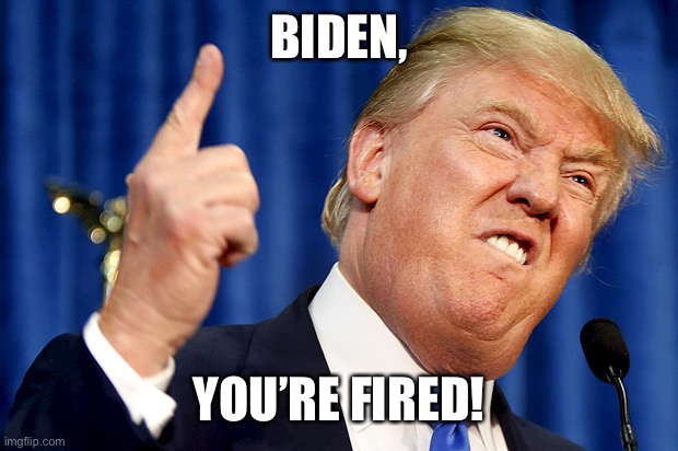 Donald Trump | BIDEN, YOU’RE FIRED! | image tagged in donald trump | made w/ Imgflip meme maker