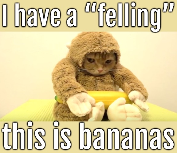 I have a “felling” this is bananas | made w/ Imgflip meme maker