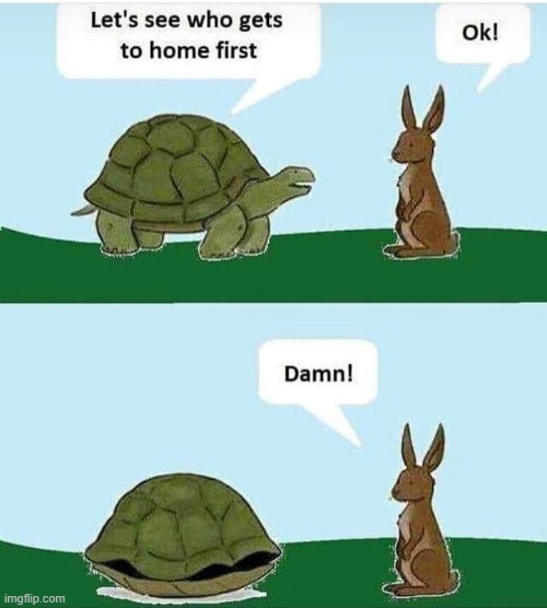 image tagged in comics,rabbits,turtle | made w/ Imgflip meme maker