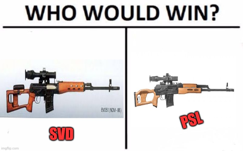 Who Would Win? Meme | PSL; SVD | image tagged in memes,who would win,guns,sniper,rifle | made w/ Imgflip meme maker