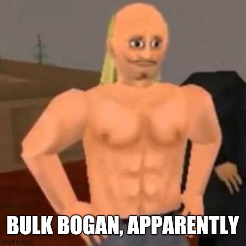 Bulk Bogan | BULK BOGAN, APPARENTLY | image tagged in bulk bogan | made w/ Imgflip meme maker