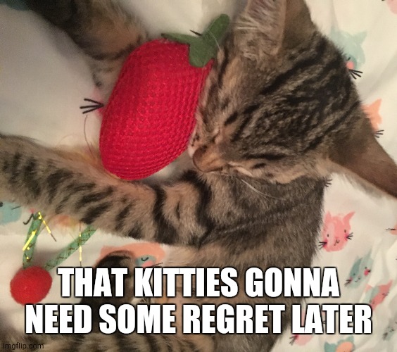 Strawberry cat | THAT KITTIES GONNA NEED SOME REGRET LATER | image tagged in strawberry cat | made w/ Imgflip meme maker