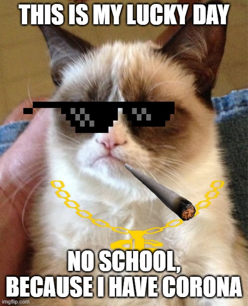 Grumpy Cat | THIS IS MY LUCKY DAY; NO SCHOOL, BECAUSE I HAVE CORONA | image tagged in memes,grumpy cat | made w/ Imgflip meme maker