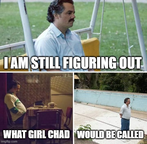 hmm | I AM STILL FIGURING OUT; WHAT GIRL CHAD; WOULD BE CALLED | image tagged in memes,sad pablo escobar | made w/ Imgflip meme maker