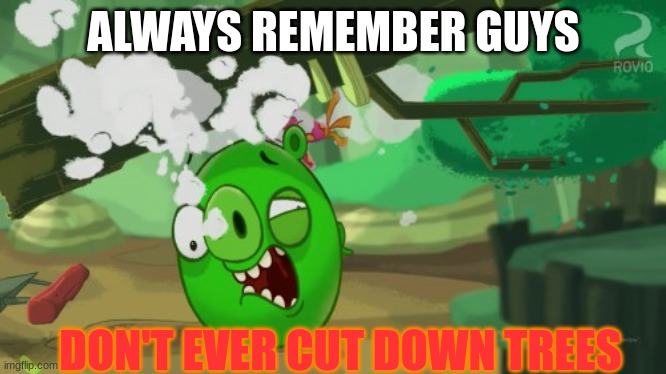 #Don'tCutDownTrees |  ALWAYS REMEMBER GUYS; DON'T EVER CUT DOWN TREES | image tagged in save the earth | made w/ Imgflip meme maker