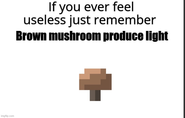 minecraft brown shroom | Brown mushroom produce light | image tagged in if you ever feel useless remember this | made w/ Imgflip meme maker