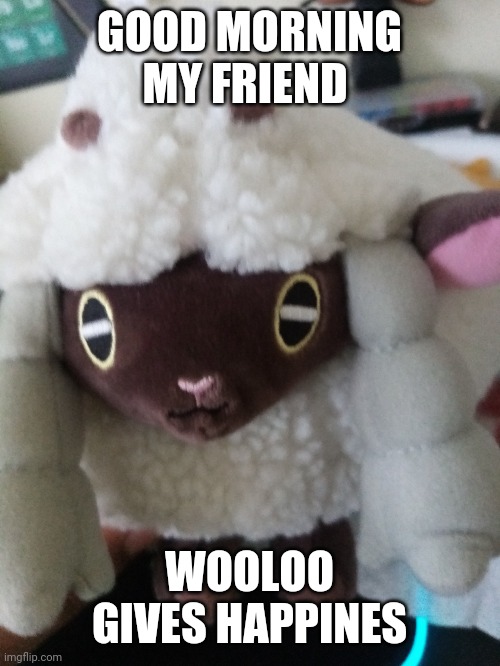 Good morning | GOOD MORNING MY FRIEND; WOOLOO GIVES HAPPINES | image tagged in wooloo | made w/ Imgflip meme maker