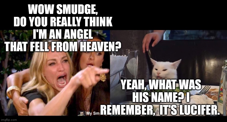 WOW SMUDGE, DO YOU REALLY THINK I'M AN ANGEL THAT FELL FROM HEAVEN? YEAH, WHAT WAS HIS NAME? I REMEMBER,  IT'S LUCIFER. | image tagged in smudge the cat | made w/ Imgflip meme maker