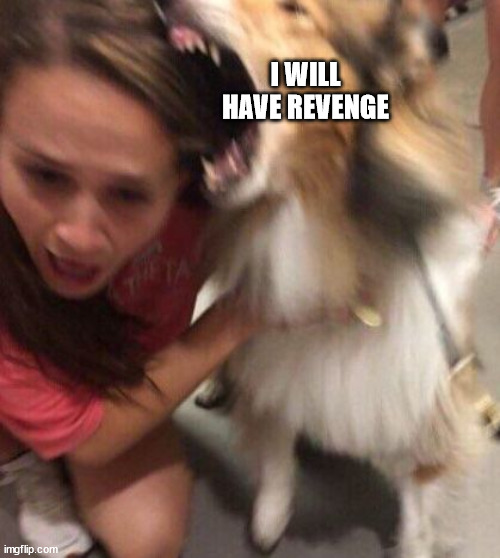 Dog Attacking Girl | I WILL HAVE REVENGE | image tagged in dog attacking girl | made w/ Imgflip meme maker