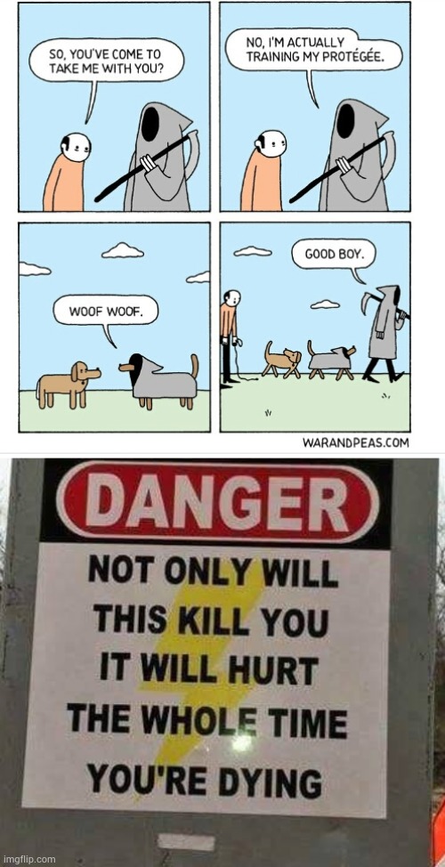 I wish this was a 'bad joke dog' meme :') | image tagged in not only will this kill you it will hurt,whyyy,depressed,but why tho,why are you reading this | made w/ Imgflip meme maker