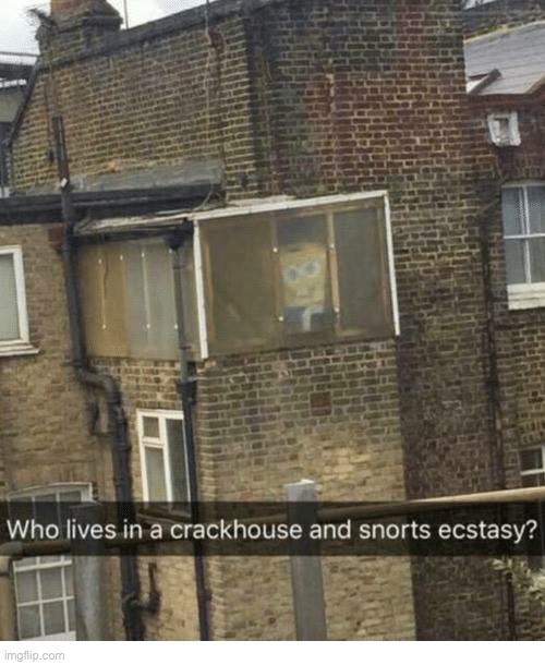 Who lives in a crack house and snorts ecstasy? | image tagged in spongebob,funny memes,dark humor,memes,dank memes,repost | made w/ Imgflip meme maker