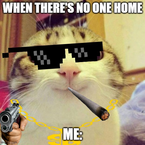 Smiling Cat | WHEN THERE'S NO ONE HOME; ME: | image tagged in memes,smiling cat | made w/ Imgflip meme maker