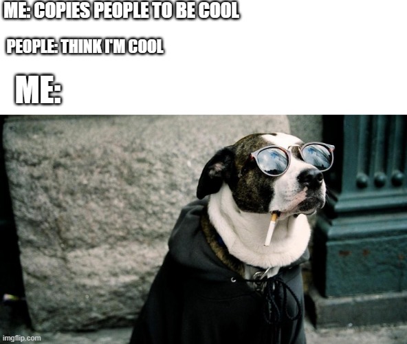 Seriously, we all d this | ME: COPIES PEOPLE TO BE COOL; PEOPLE: THINK I'M COOL; ME: | image tagged in memes | made w/ Imgflip meme maker