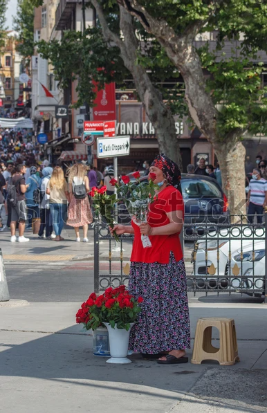 High Quality gypsy selling flowers Blank Meme Template