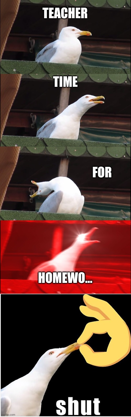 Time for homewo... | TEACHER; TIME; FOR; HOMEWO... | image tagged in memes,inhaling seagull | made w/ Imgflip meme maker