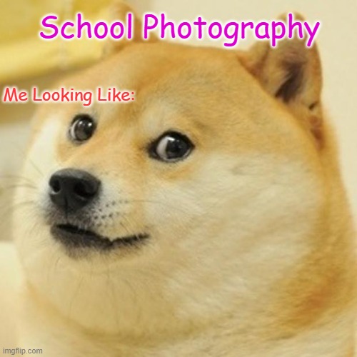 Doge | School Photography; Me Looking Like: | image tagged in memes,lol,awesome,lol so funny,so funny | made w/ Imgflip meme maker