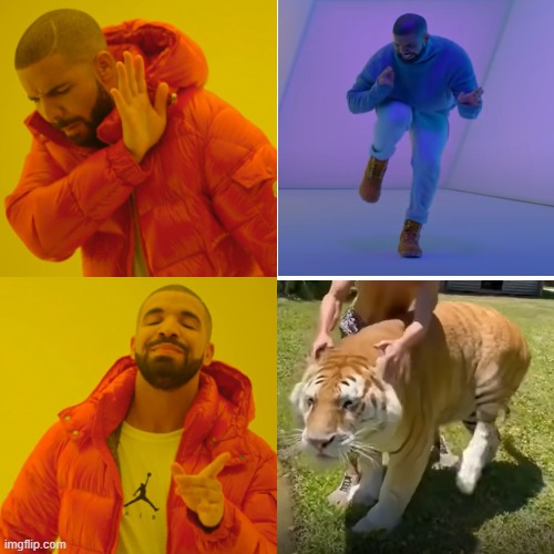Tiger does hotline bling | image tagged in memes,drake hotline bling | made w/ Imgflip meme maker