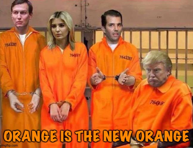 Going away | ORANGE IS THE NEW ORANGE | image tagged in trump prison family | made w/ Imgflip meme maker