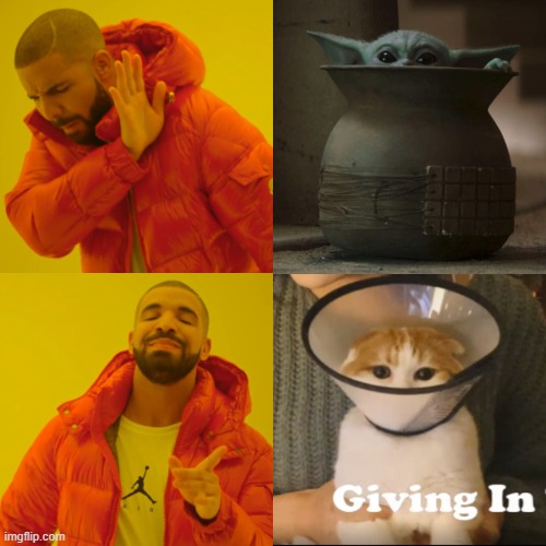 theo baby yoda | image tagged in cat | made w/ Imgflip meme maker