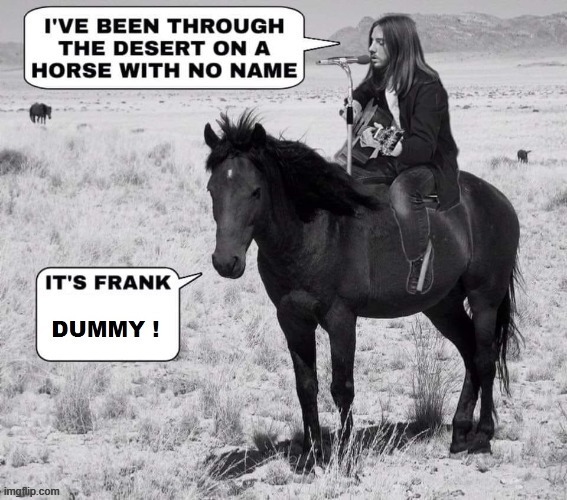 Frank replies ! | image tagged in horsepower | made w/ Imgflip meme maker