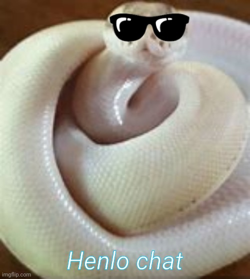 Hi! | Henlo chat | image tagged in snek | made w/ Imgflip meme maker