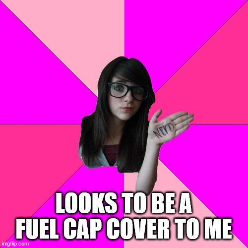 Idiot Nerd Girl Meme | LOOKS TO BE A FUEL CAP COVER TO ME | image tagged in memes,idiot nerd girl | made w/ Imgflip meme maker