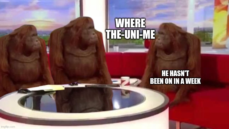 uni gone | WHERE THE-UNI-ME; HE HASN'T BEEN ON IN A WEEK | image tagged in where monkey,imgflip users | made w/ Imgflip meme maker