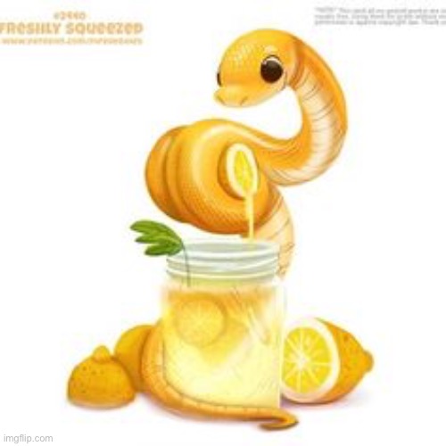Lemonade snek :DDD | image tagged in snek,lemons | made w/ Imgflip meme maker