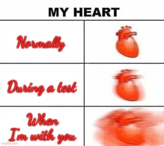 My heart blank | Normally During a test When I'm with you | image tagged in my heart blank | made w/ Imgflip meme maker