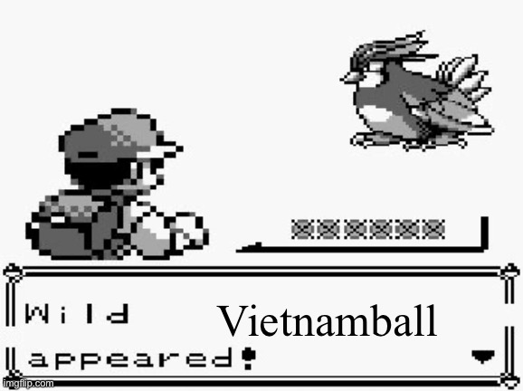 pokemon appears | Vietnamball | image tagged in pokemon appears | made w/ Imgflip meme maker