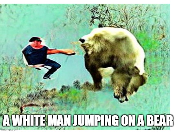 Its call Hypnogram.xyz | A W; A WHITE MAN JUMPING ON A BEAR | image tagged in lolz | made w/ Imgflip meme maker