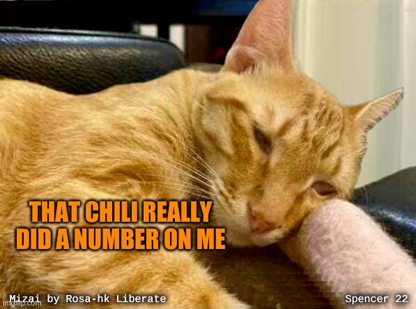 THAT CHILI REALLY DID A NUMBER ON ME | image tagged in cat,chili,much wow,gas,one does not simply,poop | made w/ Imgflip meme maker