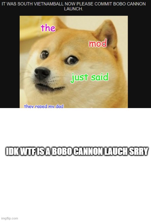 I raped your father, and I will fuck him another time. | IDK WTF IS A BOBO CANNON LAUCH SRRY | image tagged in blank white template,memes,funny,msmg | made w/ Imgflip meme maker