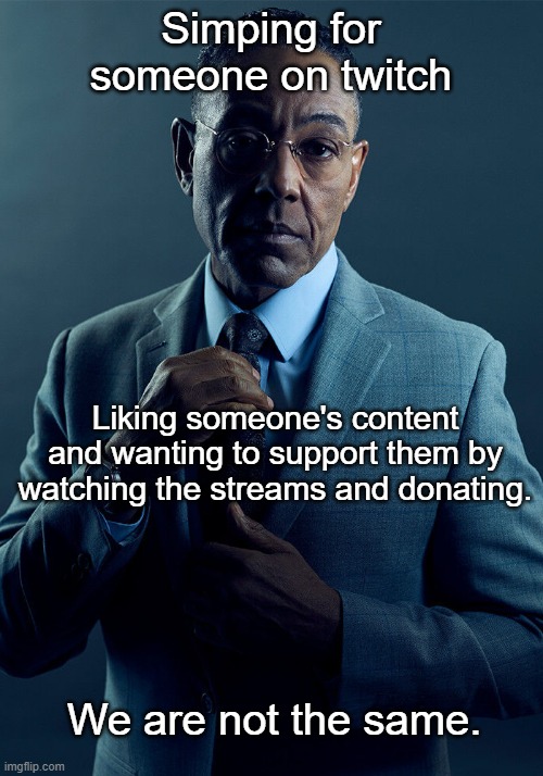 Gus Fring we are not the same | Simping for someone on twitch; Liking someone's content and wanting to support them by watching the streams and donating. We are not the same. | image tagged in gus fring we are not the same | made w/ Imgflip meme maker