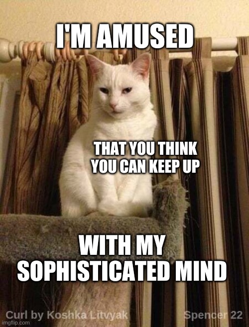 I'M AMUSED; THAT YOU THINK YOU CAN KEEP UP; WITH MY SOPHISTICATED MIND | image tagged in cat,fancy,change my mind,what if i told you,you can't see me,amazing | made w/ Imgflip meme maker